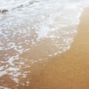 Meet your Posher, Ivy